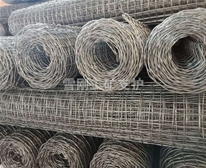 煤礦支護經緯網